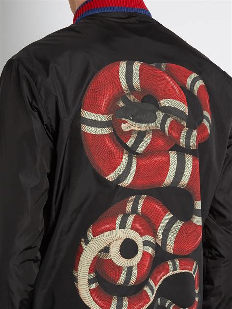 gucci windbreaker snake.